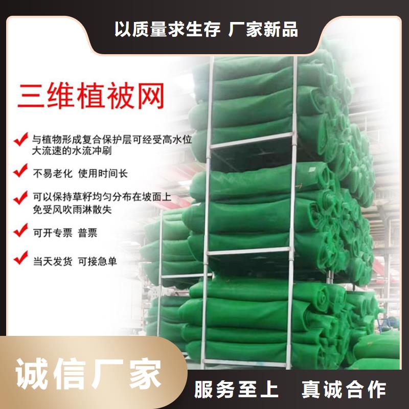 中齐防渗膜【 三维植被网-膨润土防水毯源厂定制】08qx.com