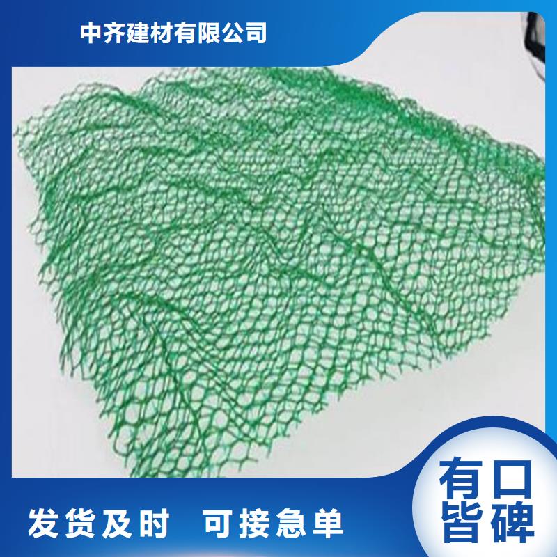 澄迈县EM2塑料三维固土网垫