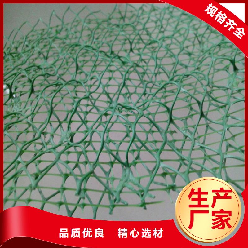环保EM4三维固土网垫