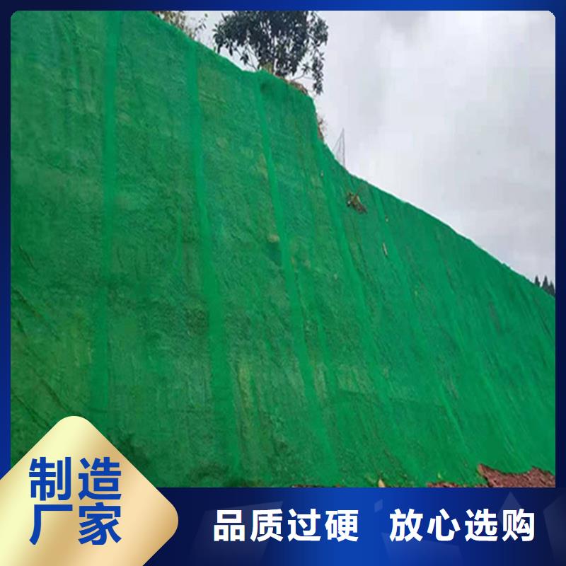 三维护坡植草网垫施工指导