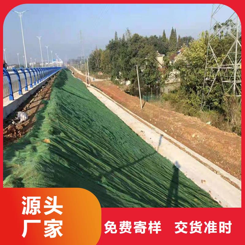 加筋EM2三维固土网垫
