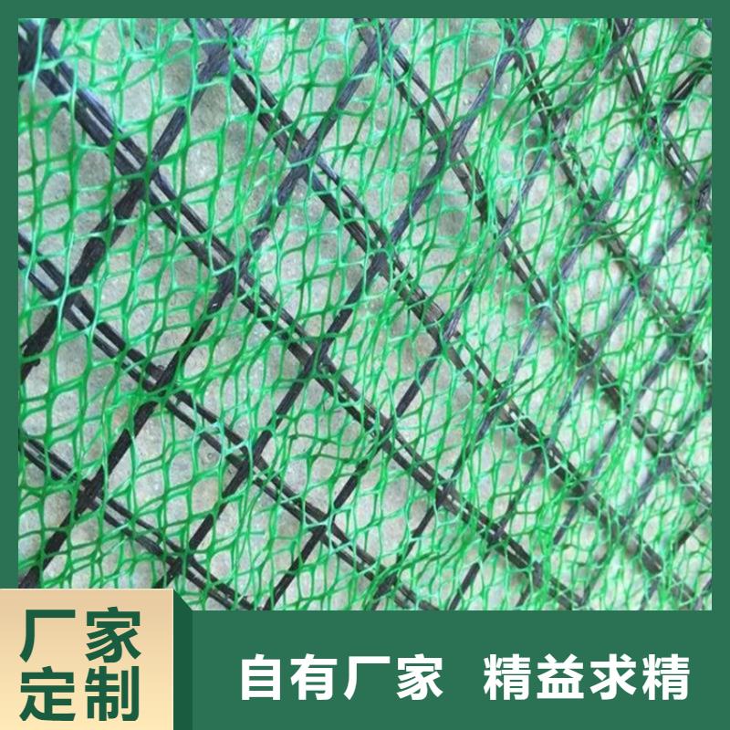 三维植被网,HDPE土工膜卓越品质保障