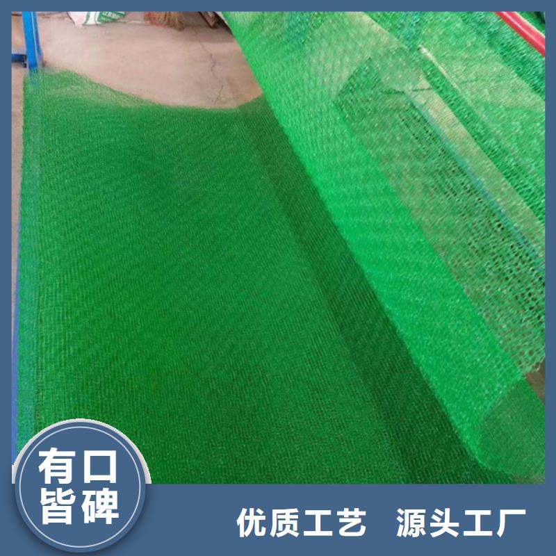 EM5加筋三维护坡植草网