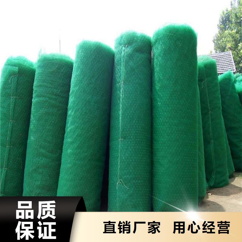 三维护坡植草网垫代理批发