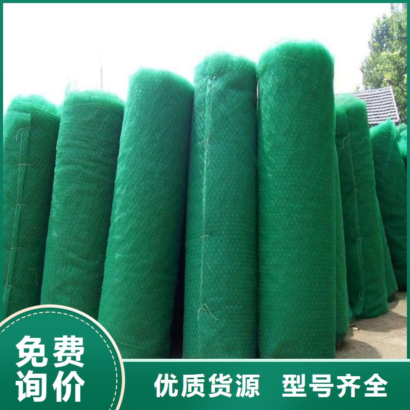 中齐防渗膜【 三维植被网-膨润土防水毯源厂定制】08qx.com