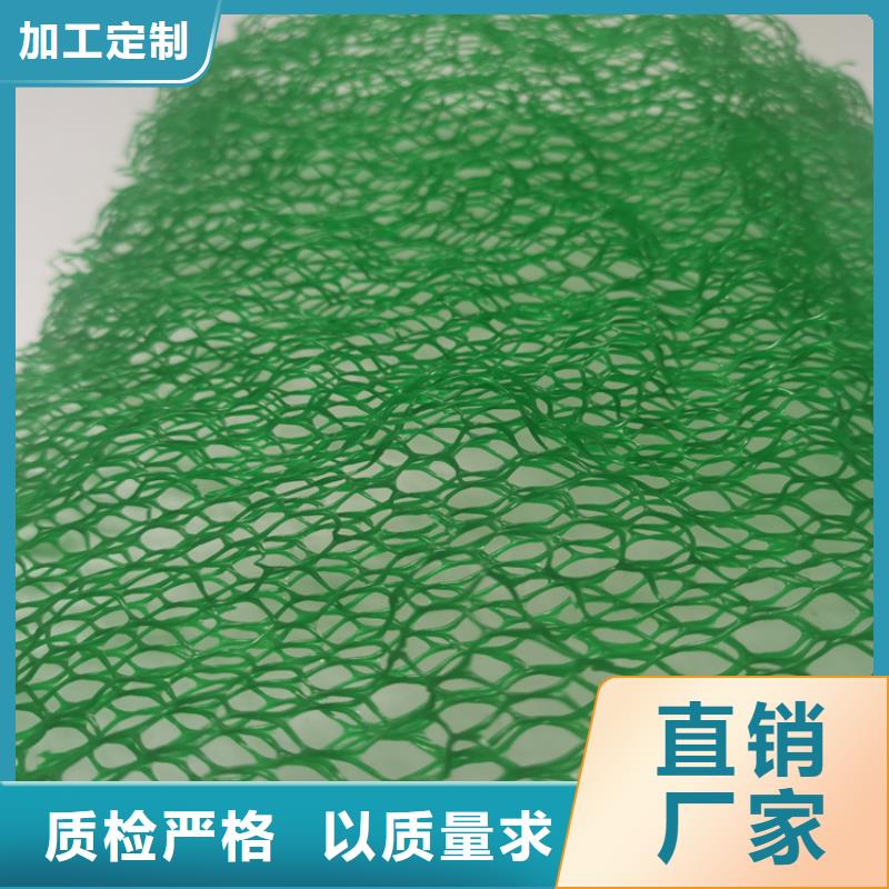 三维植被网-软式透水管客户好评