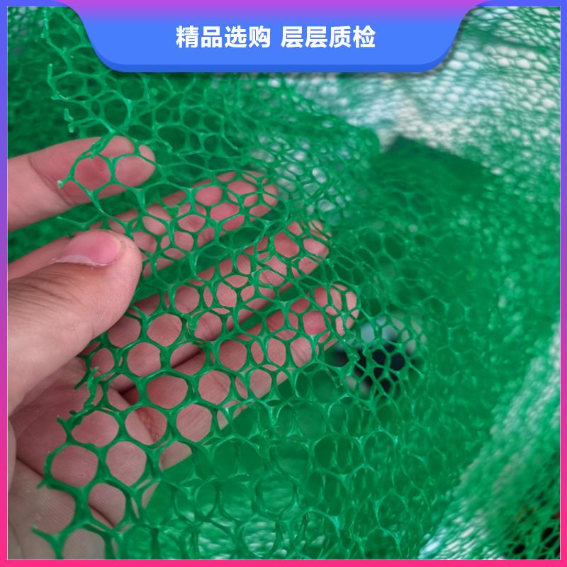 边坡EM2三维土工网垫
