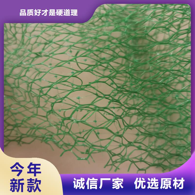 三维植被网土工格栅厂家实力大