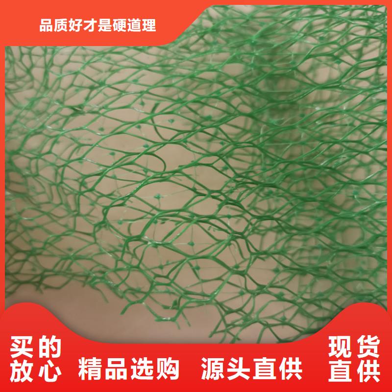 三维植被网-软式透水管客户好评