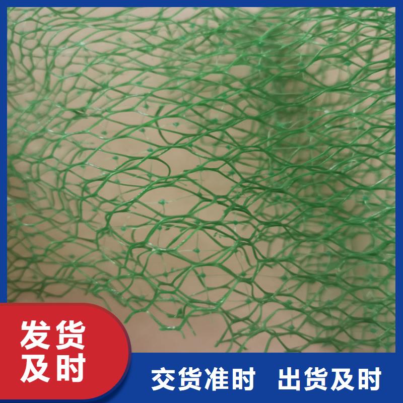 加筋EM2三维固土网垫