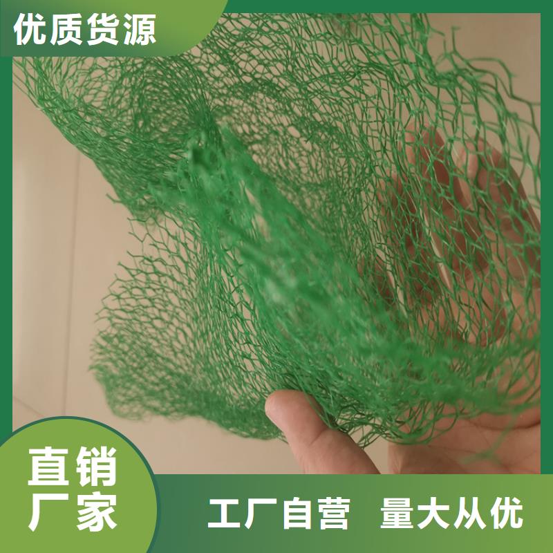 EM4护坡三维护坡植草网