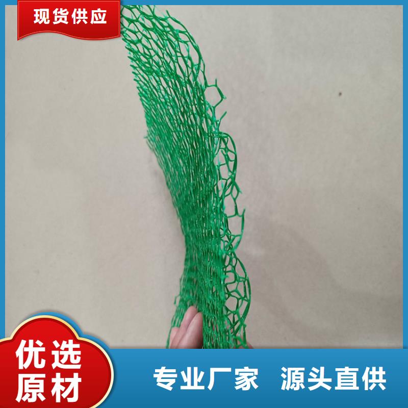 加筋边坡三维植被网