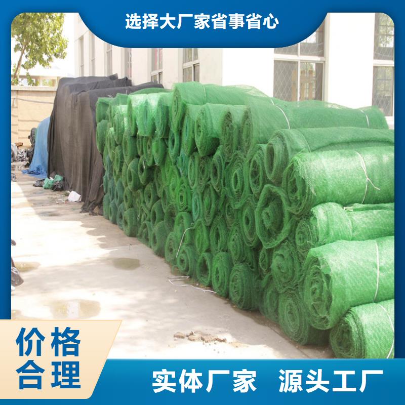 加筋EM2三维固土网垫