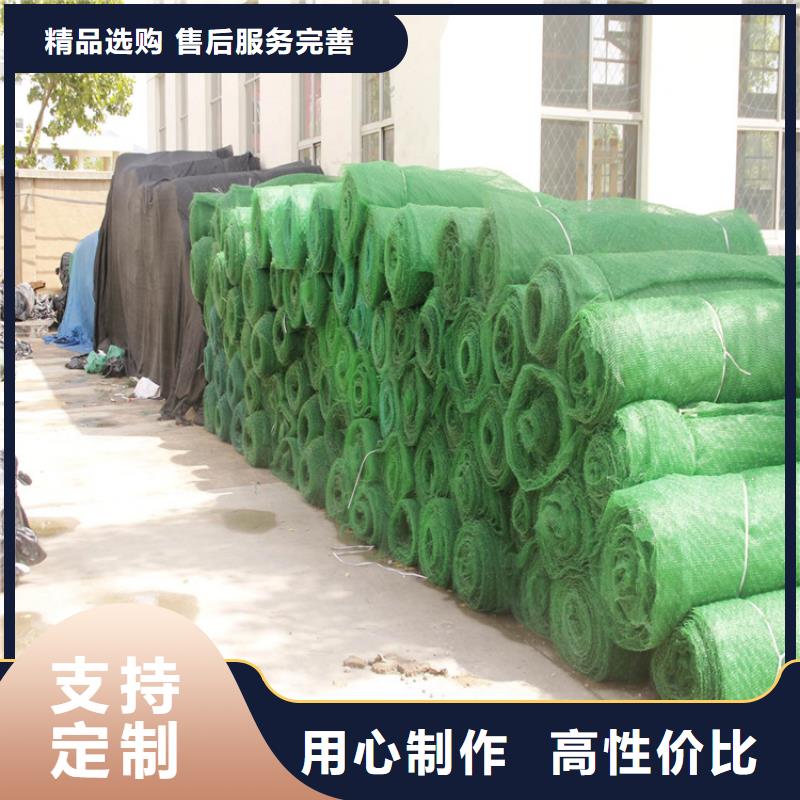 三维护坡植草网垫厂家供货