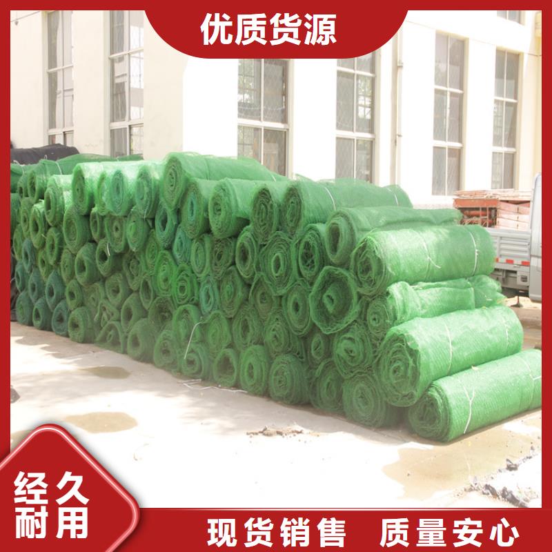 三维植被网-软式透水管客户好评