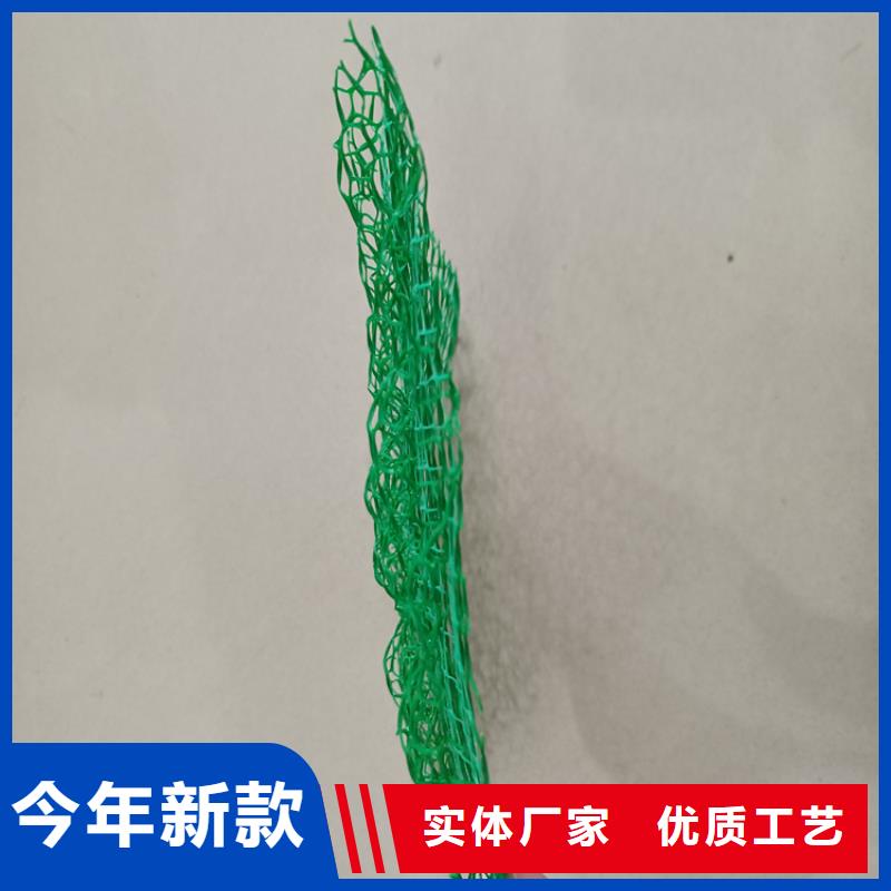 三维植被网,防水毯源头厂源头货