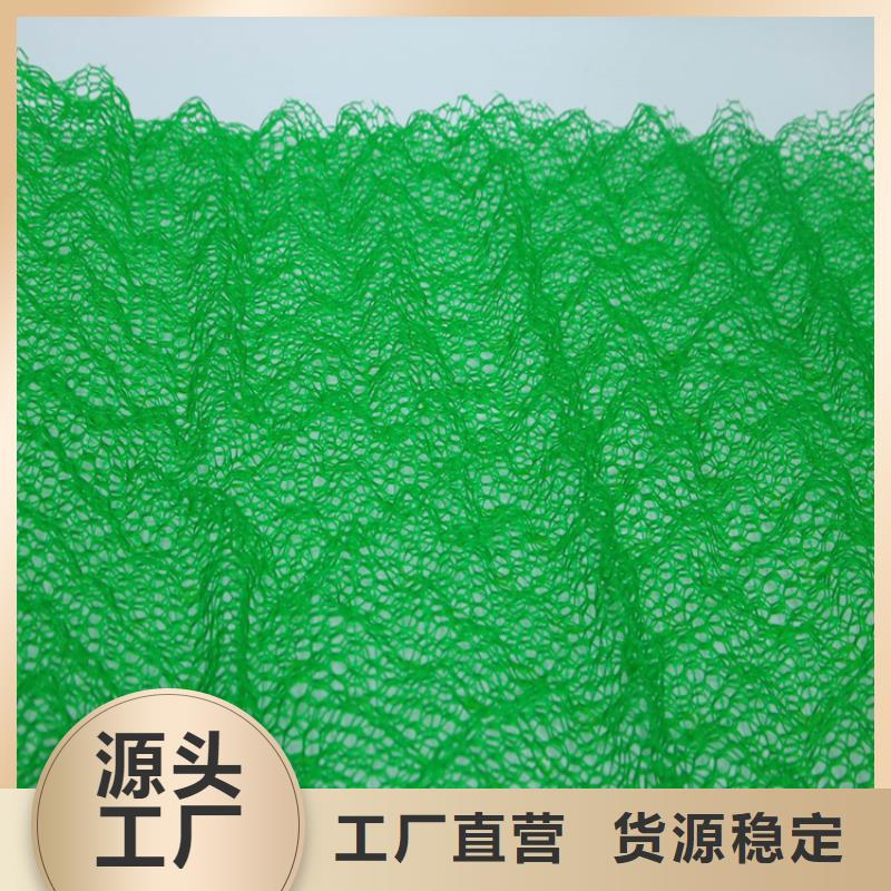 三维植被网【HDPE土工膜】现货充裕