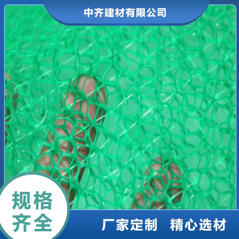 草皮EM3三维植被网