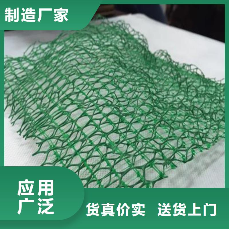 保亭县绿化护坡三维植被网