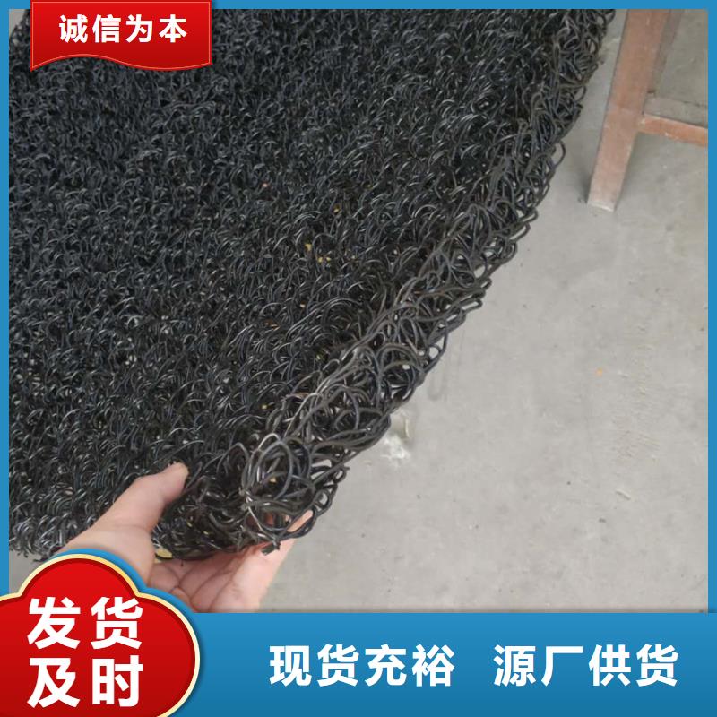 80100高渗排水网垫种类齐全