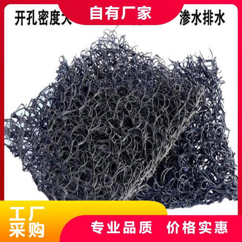 1020高渗排水网垫