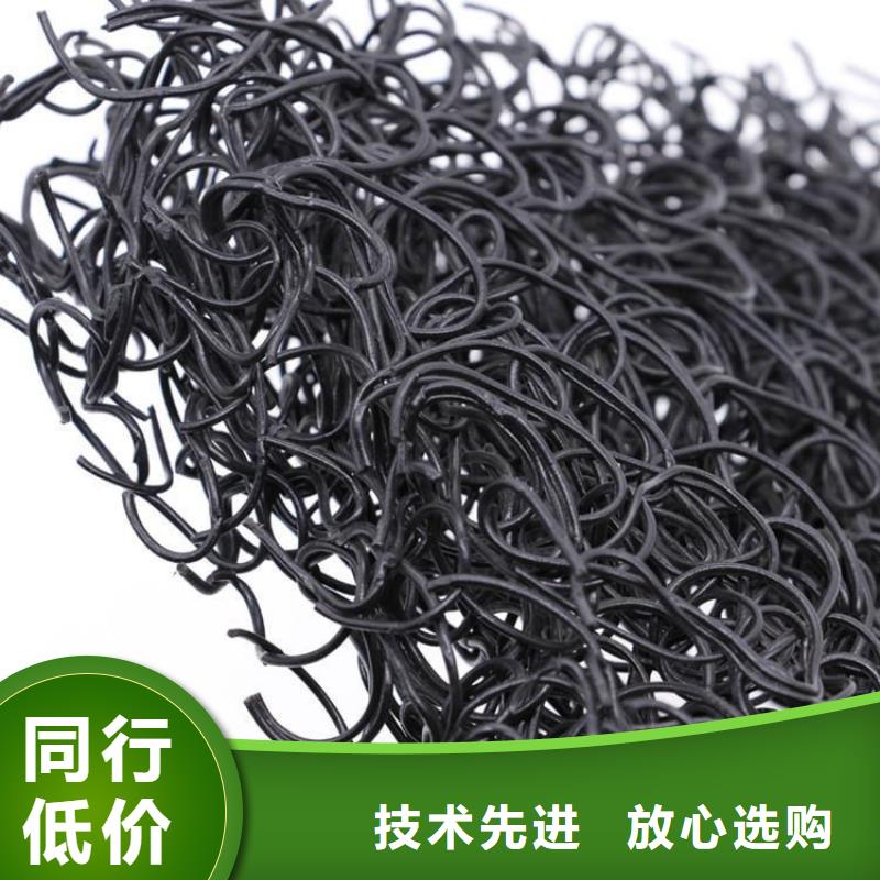 儋州市1020高渗排水网垫