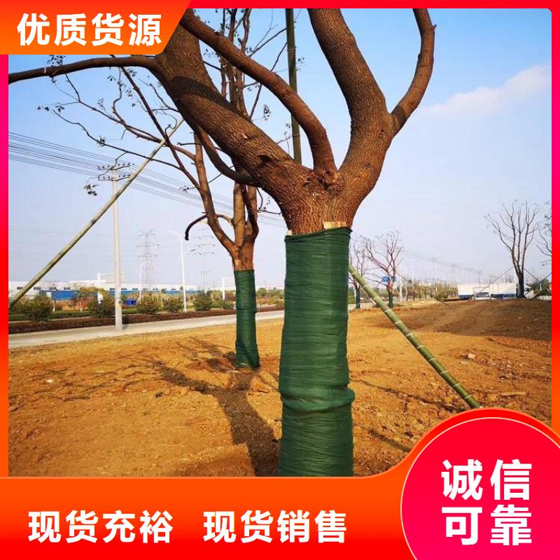 保温保湿棉缠树毡