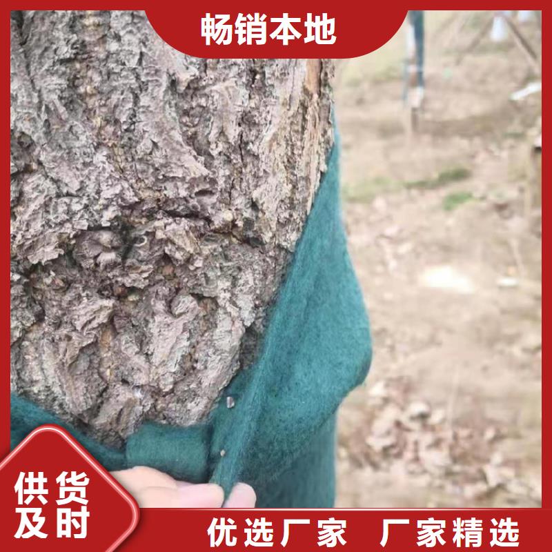 裹树布给排水管件质量看得见