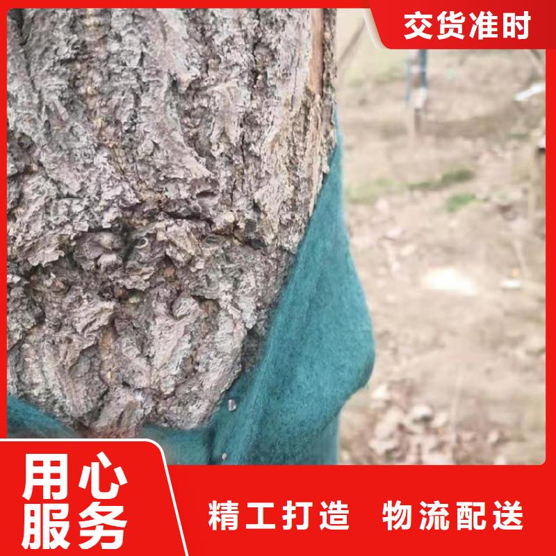 苗圃绿色裹树布树木防冻布