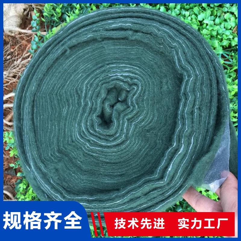 树木包树布绿色缠树无纺布