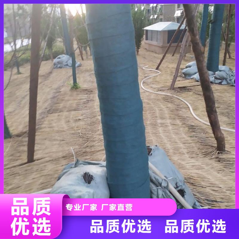 绿色包树无纺布大树包树布