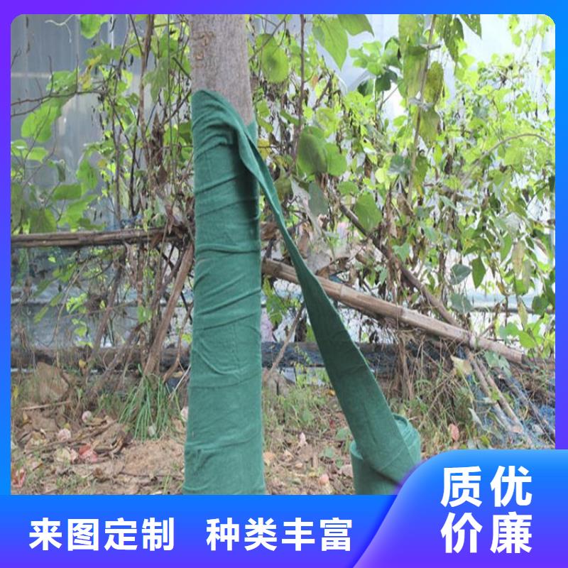 大树缠树布工程绿化裹树布