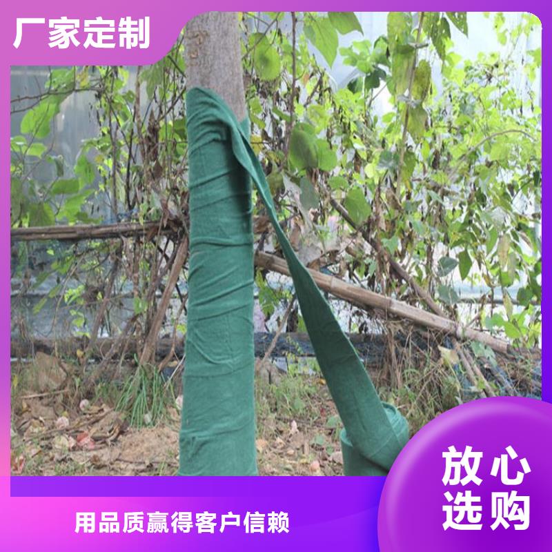 大树裹树布保湿带