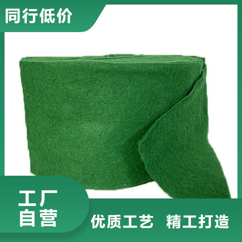 包树布裹树布
