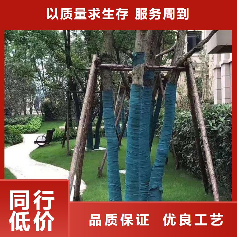 特别行政区包树布绿色缠树布