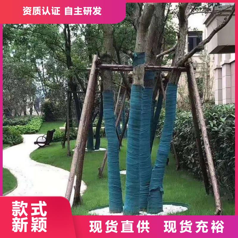 大树裹树布保湿带