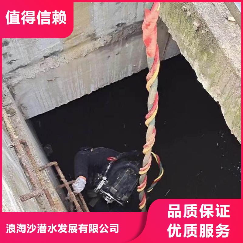 可以承接水下施工的专业公司-定制-挖吖挖吖挖