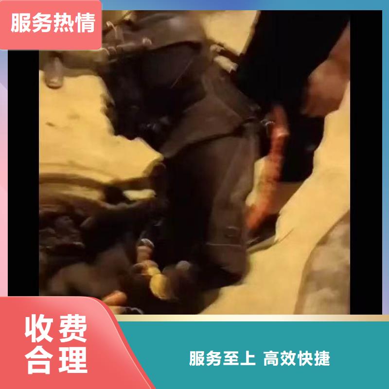 闸门水下堵漏价格行情水下工程施工队