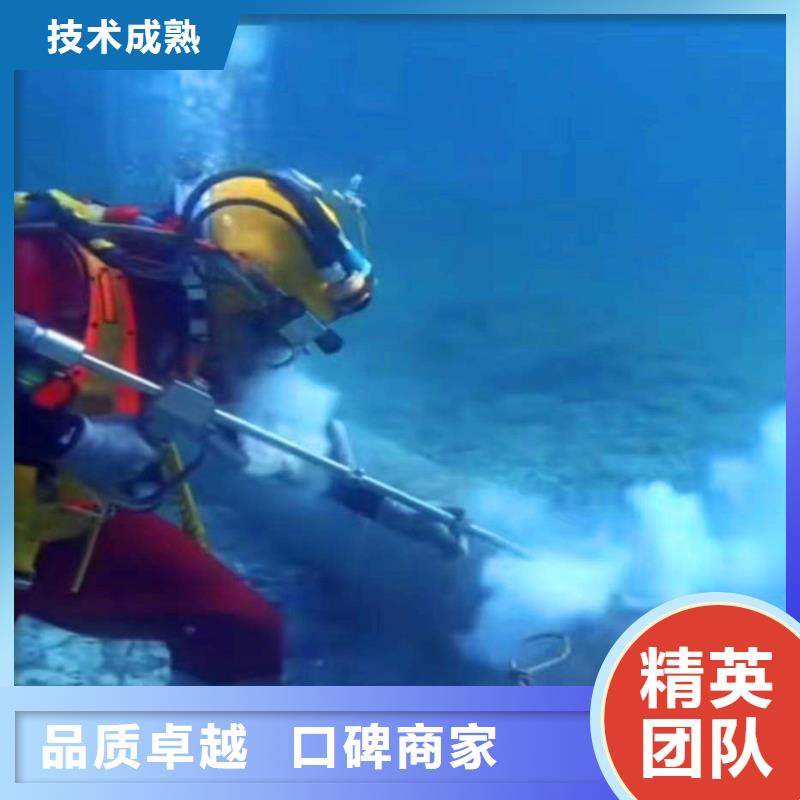 蛙人码头桥桩水下探摸拍照检测公司-为您介绍-浪淘沙水工