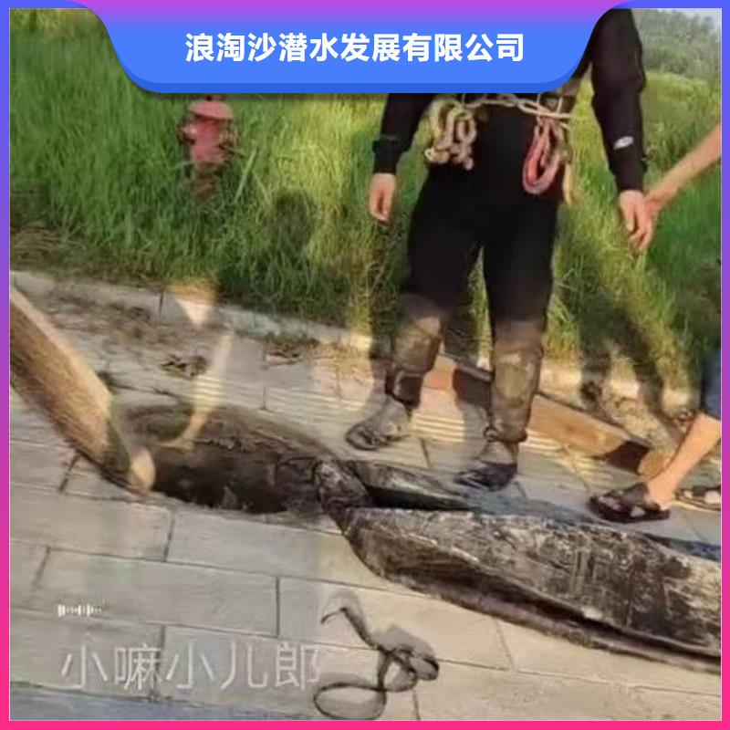 :顺平码头桥桩水下检测拍照加固<顺平本地队伍>-品牌厂家