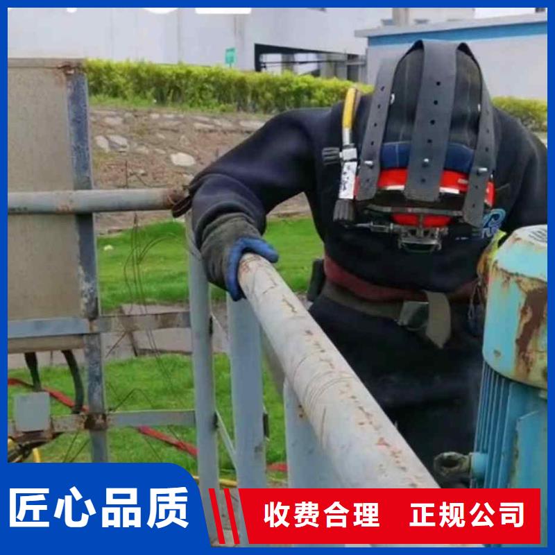 2025欢迎您码头桥桩水下检测拍照加固<临泉水下拍照>值得信赖