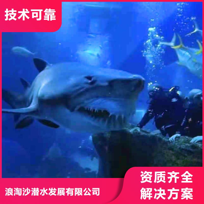 潜水员服务-蛙人施工资质齐全