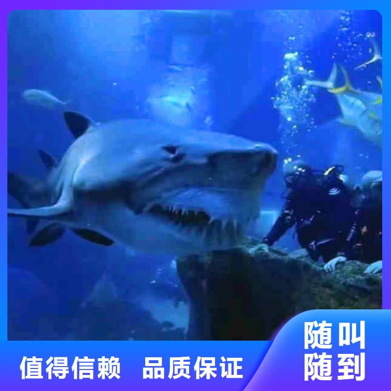 潜水员服务气囊封堵先进的技术