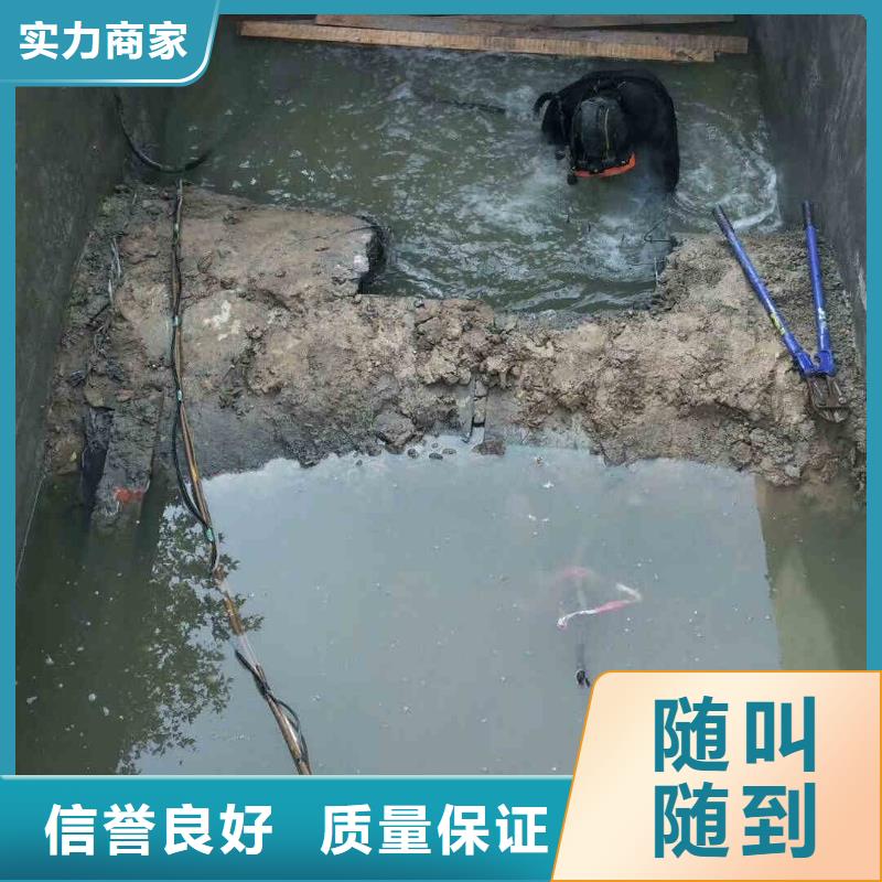 潜水员服务水下照相服务正规