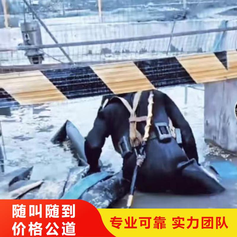 潜水员服务,水下摄像服务专业可靠