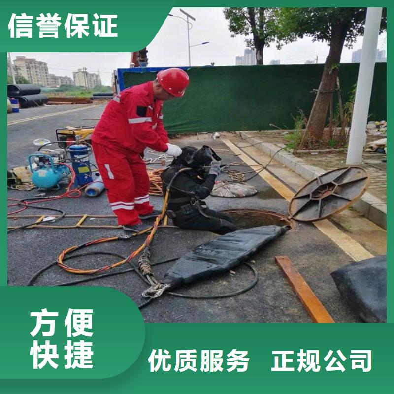 水库大坝检测、水库大坝检测生产厂家-找东泓潜水工程公司