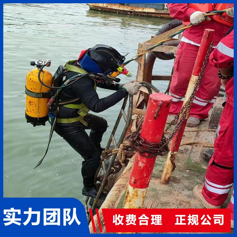 支持定制的潜水员带水堵漏方法公司