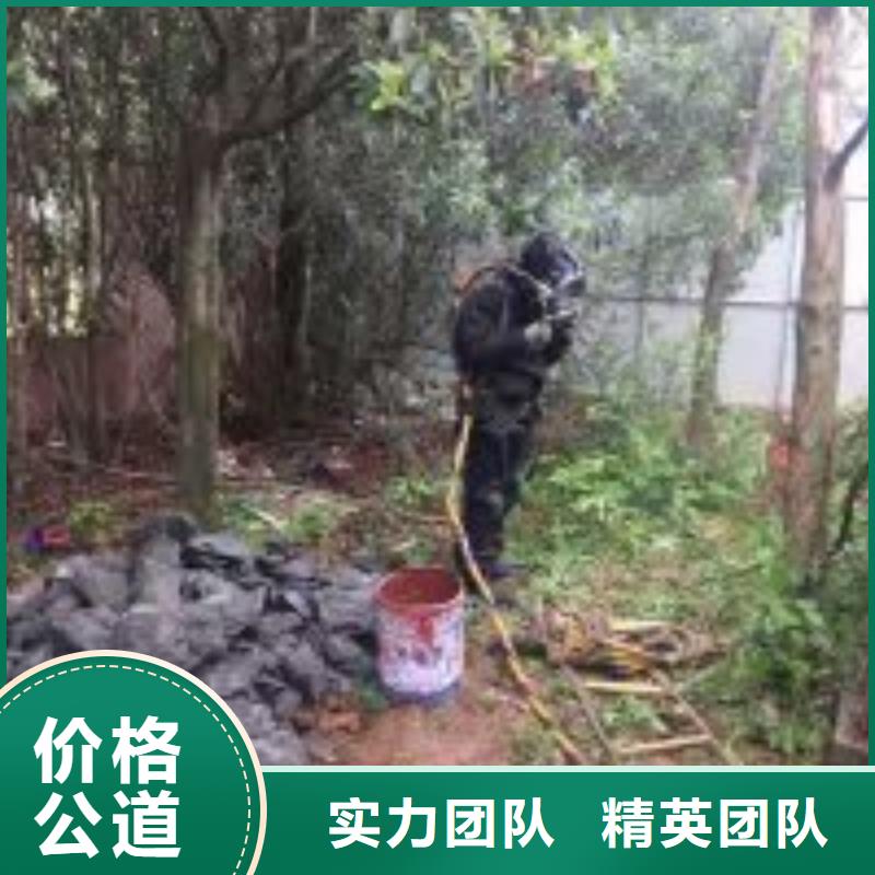水下录像公司高性价比