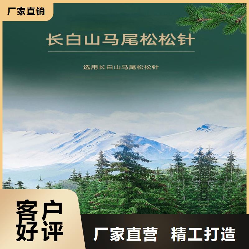 10年经验