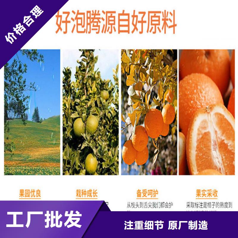 坡头区胶囊